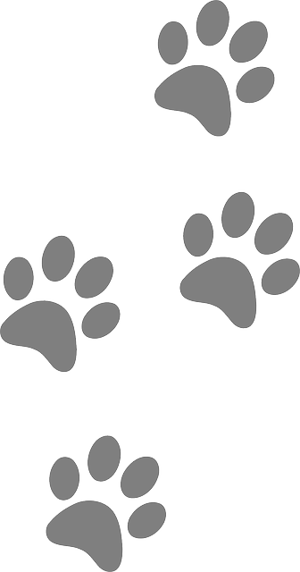 Empreintes de chiens - Image par Clker-Free-Vector-Images de Pixabay