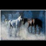 Illustration du profil de Choupette